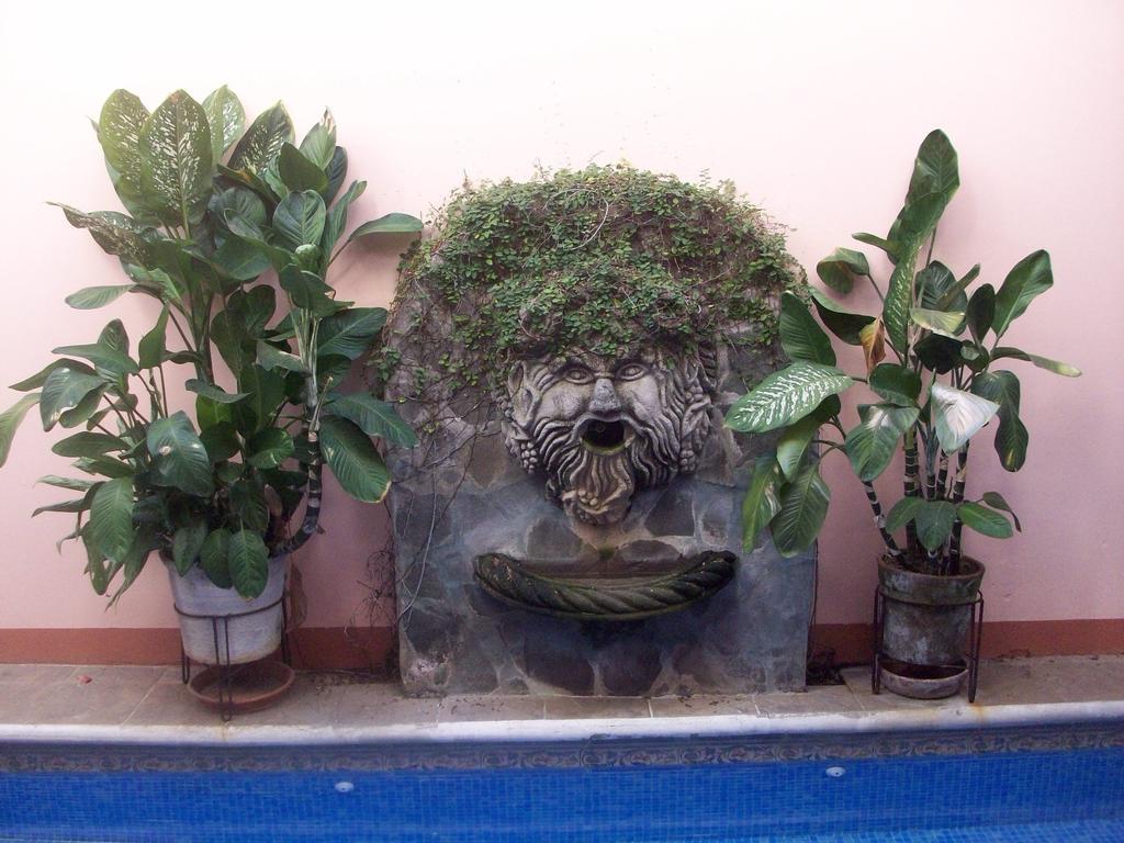 Hotel Casa San Francisco Granada Dış mekan fotoğraf